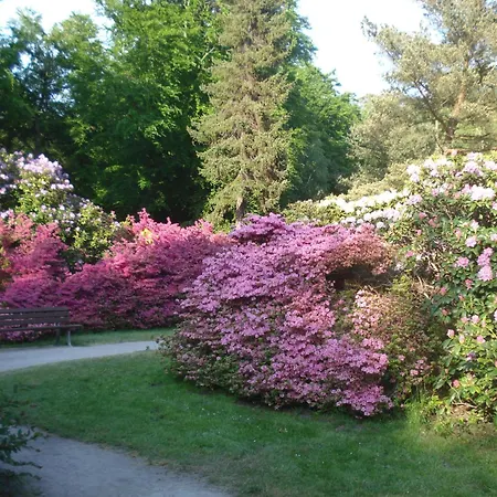 Kuestenwald - Igel 43 Muritz
