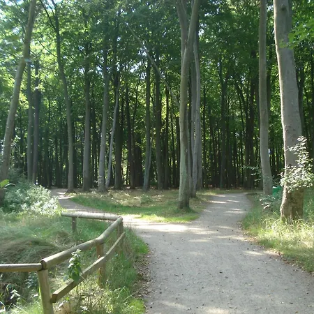 Kuestenwald - Igel 43 *