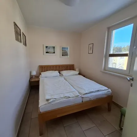 Kuestenwald - Igel 43 Muritz